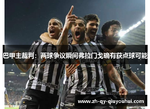 巴甲主裁判:两球争议瞬间弗拉门戈确有获点球可能